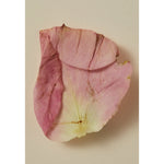 Load image into Gallery viewer, Smoking Rose Oil 30ml
