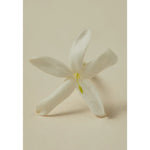 Load image into Gallery viewer, Rumi Scented Oil 30ml
