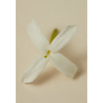 Load image into Gallery viewer, Souq Scented Oil 30ml
