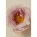 Load image into Gallery viewer, Smoking Rose Oil 30ml
