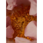 Load image into Gallery viewer, Souq Scented Oil 30ml
