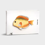 Load image into Gallery viewer, Plate Fish Rainbow
