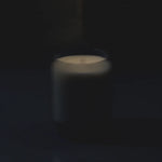 Load image into Gallery viewer, Tui &amp; Kahili Waxed Perfume
