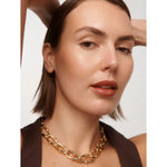 Load image into Gallery viewer, Lip Stain - Bday Suit
