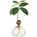 Load image into Gallery viewer, Avocado Vase
