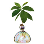 Load image into Gallery viewer, Avocado Vase

