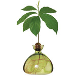 Load image into Gallery viewer, Avocado Vase
