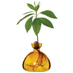 Load image into Gallery viewer, Avocado Vase
