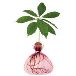Load image into Gallery viewer, Avocado Vase
