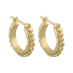 Load image into Gallery viewer, Angelica Hoops - 18K Gold Plated
