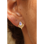 Load image into Gallery viewer, Venus - Gold Earrings
